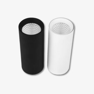 12w 2022 Surface Cylinder