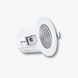 30W RIO FIX DOWN LIGHT